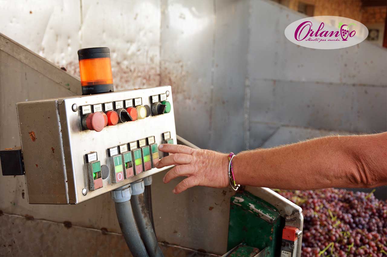 produzione-mosto-per-succhi-orlando-rutigliano-02